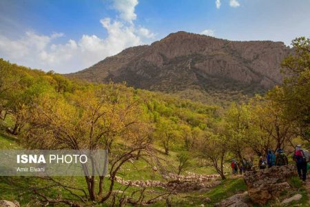 دالاهو، شهر میوه های بهشتی - سیمارتیکل