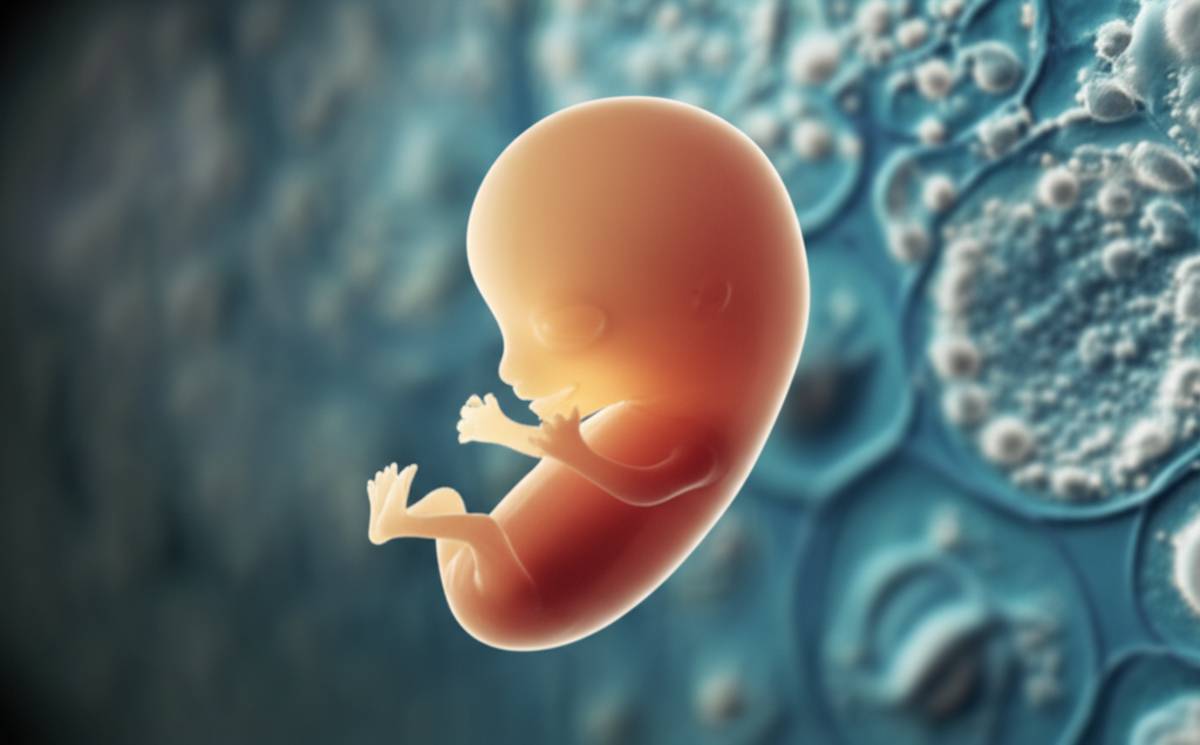 شکل و علائم سقط جنین ۶ هفته | راهنمای کامل