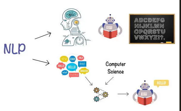 مسیر حرفه ای شدن در حوزه NLP و پردازش زبان طبیعی